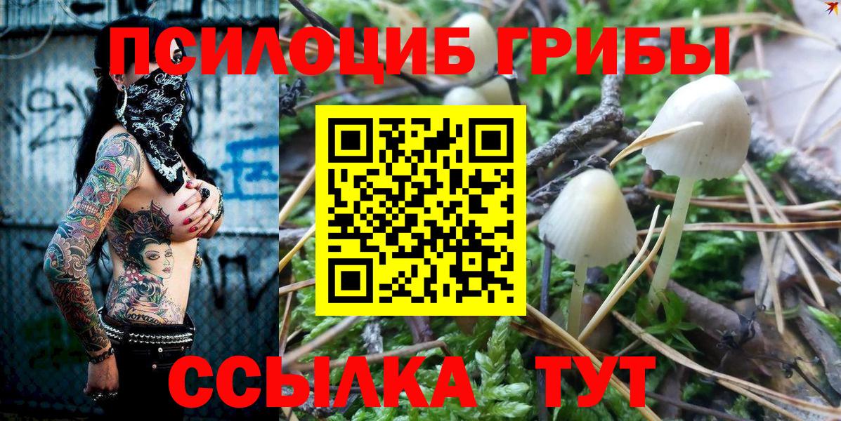Галлюциногенные грибы мицелий  Вход с VPN  Гагарин 