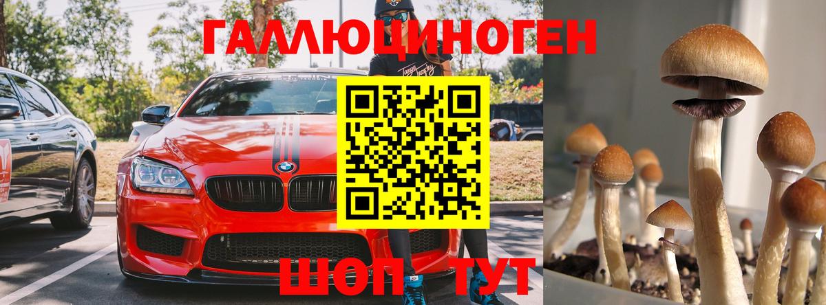Псилоцибиновые грибы MAGIC MUSHROOMS Гагарин